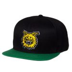 Snapback, vihreällä lipalla