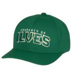 CCM-lippis, property of Ilves