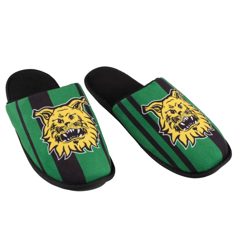Ilves-aamutossut