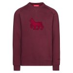 CCM-collegepaita, original