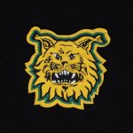 College, 1978 retro - Image 2