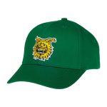 Lippis, football logo