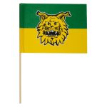 Kannattajalippu A4, football logo