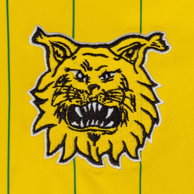 Kannattajapaita, football 2024 - Image 2