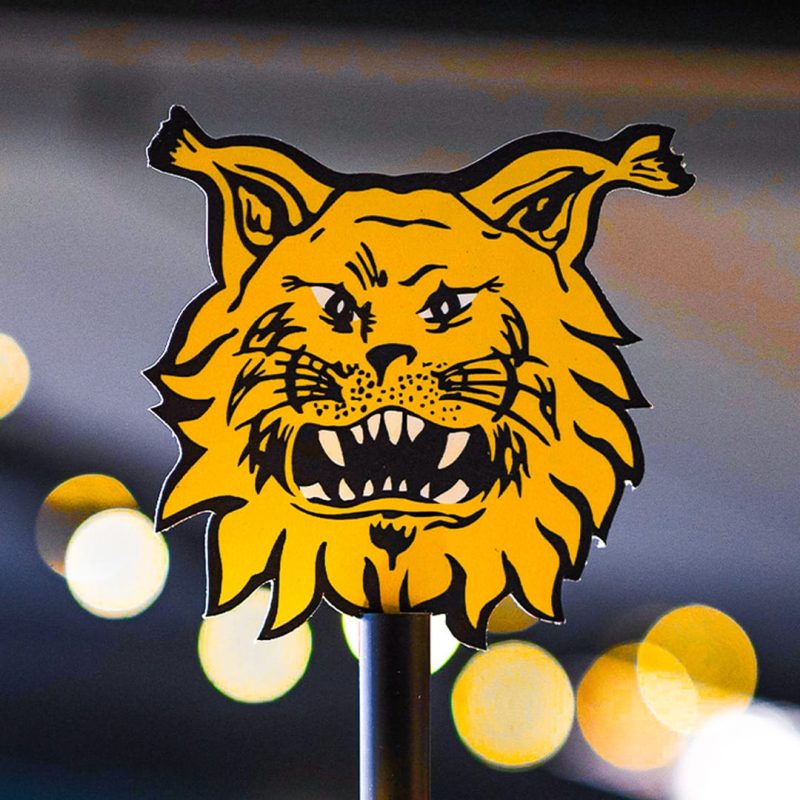 Ilves-latvakoriste