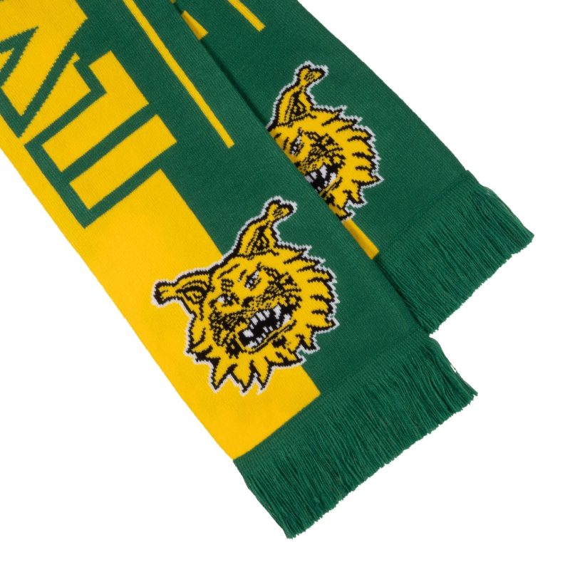 Huivi, 2025 Ilves Tampere logo - Image 2