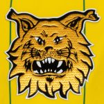 Kannattajapaita, football 2025, replica - Image 4
