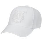 Lippis, kokovalkoinen