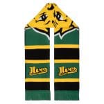 Huivi 25-26, raidallinen puolilogo