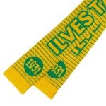 Huivi 2026, football Ilves Tampere 1931 - Image 2