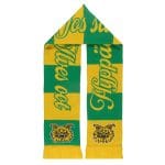 Huivi 2026, football "Hyppää, jos sä Ilves oot"