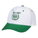 Lippis, valkovihreä logolla