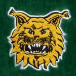 Kylpytakki, vihreä - Image 4